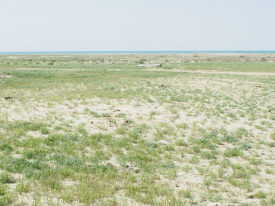 Dry sea bed, Aral Sea, Kazakhstan 2015